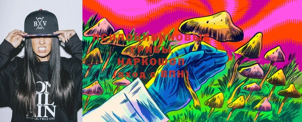 PSILOCYBIN Богородицк